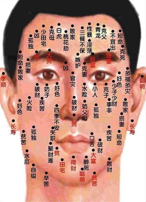 左臉痣男|男人面部痣相图解（一张图看懂男人脸上这50个位置长。